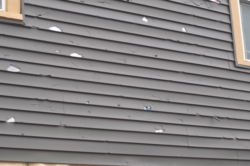 Inspecting Siding for Flaws